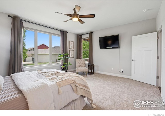 2503 Chaplin Creek Dr, Loveland, CO 80538 - photo 23