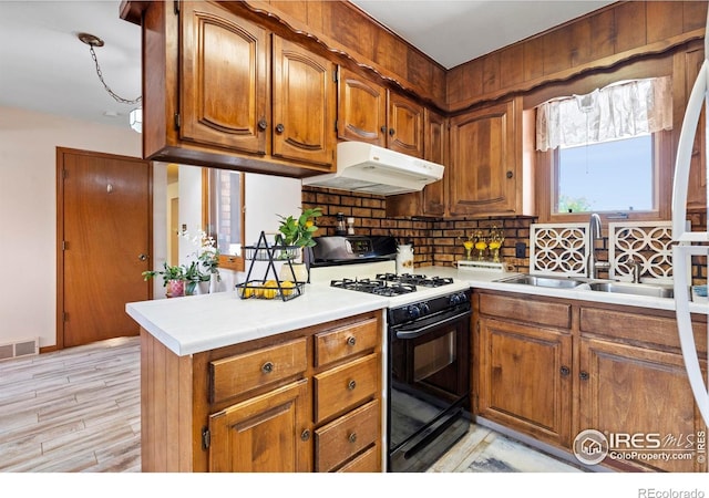 2742 Daffodil Pl, Loveland, CO 80537
