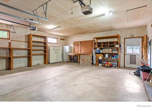 2742 Daffodil Pl, Loveland, CO 80537