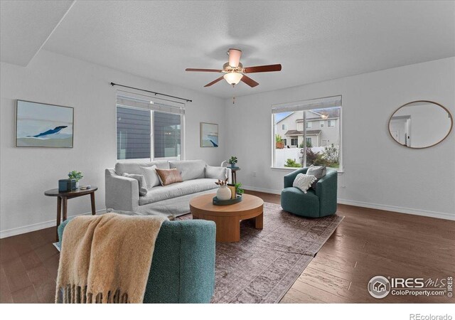 1848 Castle Hill Dr, Windsor, CO 80550 - photo 9