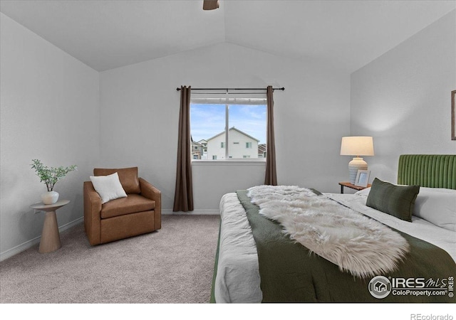 1848 Castle Hill Dr, Windsor, CO 80550 - photo 23