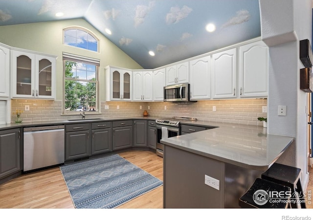 4489 Chateau Dr, Loveland, CO 80538 - photo 8