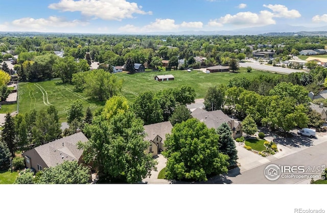 4489 Chateau Dr, Loveland, CO 80538 - photo 35