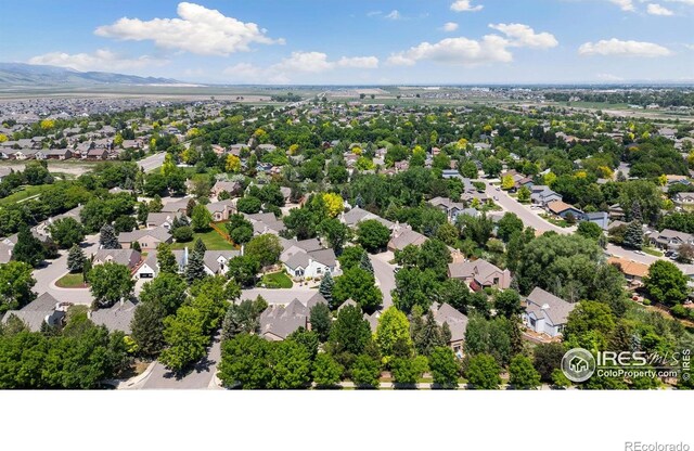 4489 Chateau Dr, Loveland, CO 80538 - photo 37