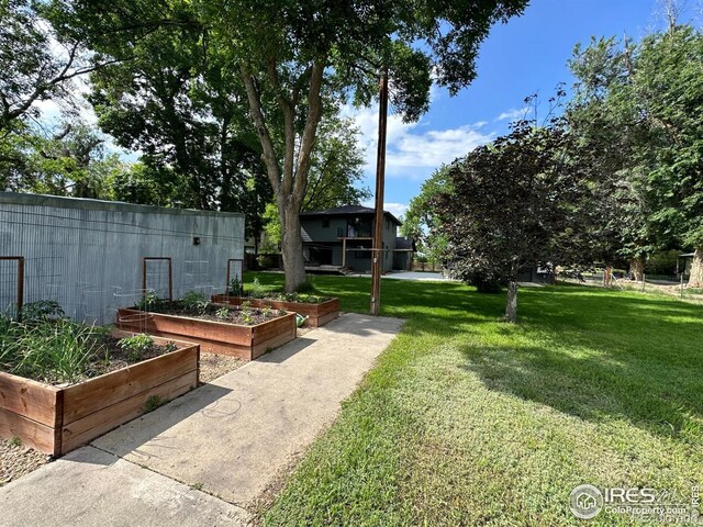 7800 Hygiene Rd, Longmont, CO 80503 - photo 5