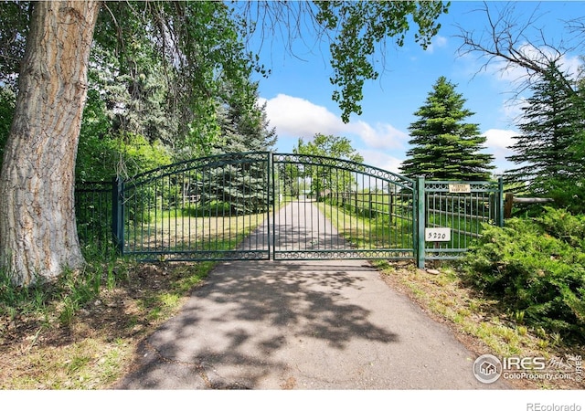 5220 Apple Dr, Fort Collins, CO 80526 - photo 29