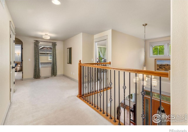 1279 Greening Ave, Erie, CO 80516 - photo 19