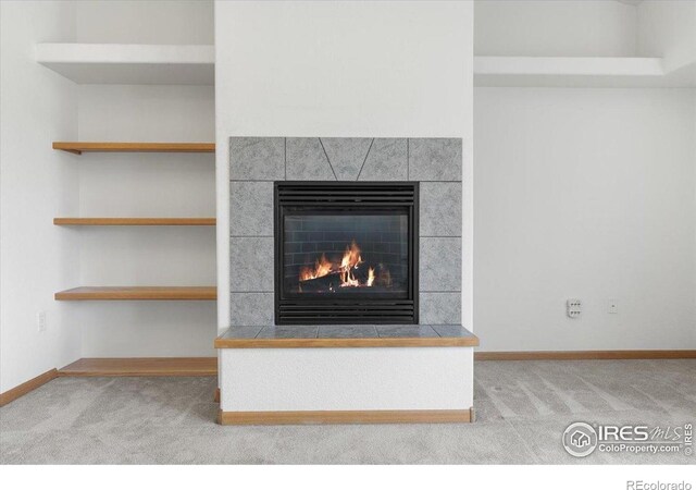 1365 Settlers Dr, Eaton, CO 80615 - detailed view of carpet and a fireplace