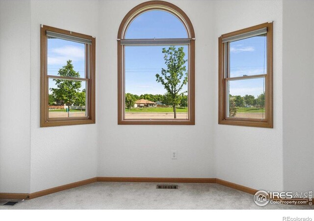 1365 Settlers Dr, Eaton, CO 80615 - carpeted spare room featuring plenty of natural light