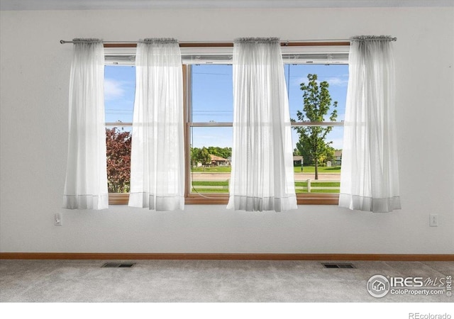 1365 Settlers Dr, Eaton, CO 80615 - detailed view of baseboards