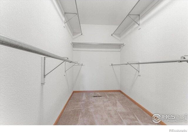 1365 Settlers Dr, Eaton, CO 80615 - spacious closet with carpet floors