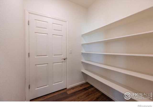 6793 Hayfield St, Wellington, CO 80549 - view of pantry