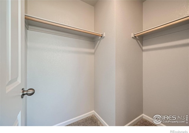 2435 Calais Dr Unit G, Longmont, CO 80504 - walk in closet with carpet flooring