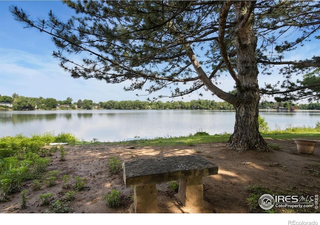 3025 Regatta Ln Unit 2, Fort Collins, CO 80525