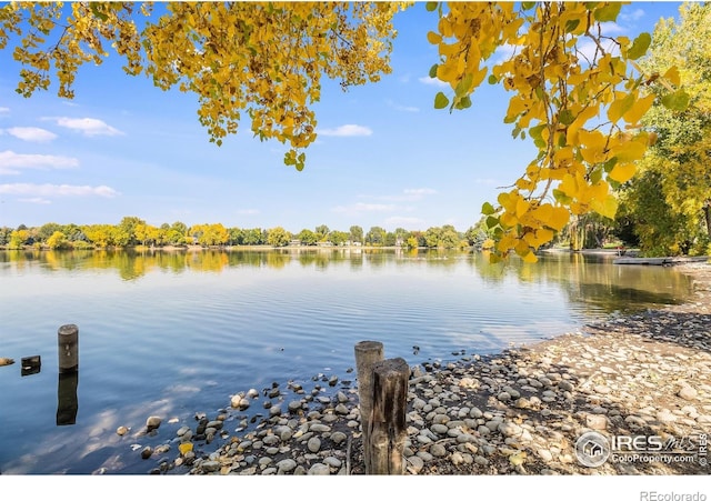 3025 Regatta Ln Unit 2, Fort Collins, CO 80525