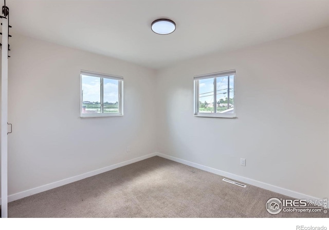 128 Carpenter Rd, Fort Collins, CO 80525 - spare room with healthy amount of natural light, carpet flooring, and baseboards