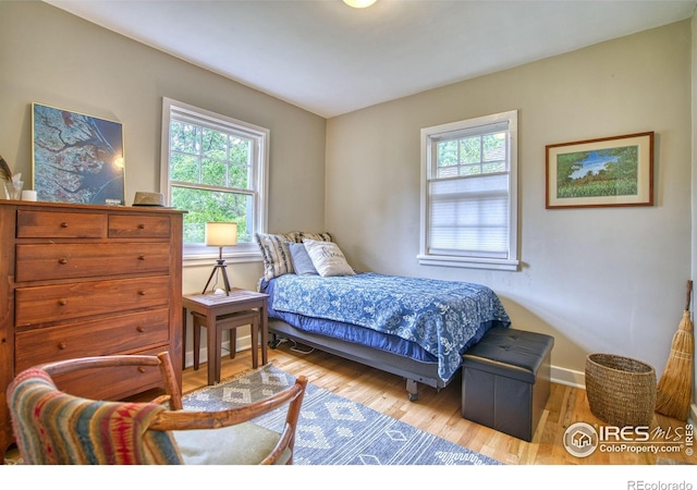 1233 Carolina Ave, Longmont, CO 80501 - bedroom with multiple windows and wood finished floors