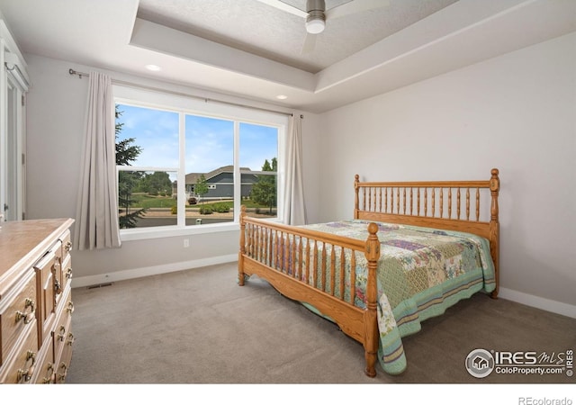 8213 Surrey St, Greeley, CO 80634 - photo 11