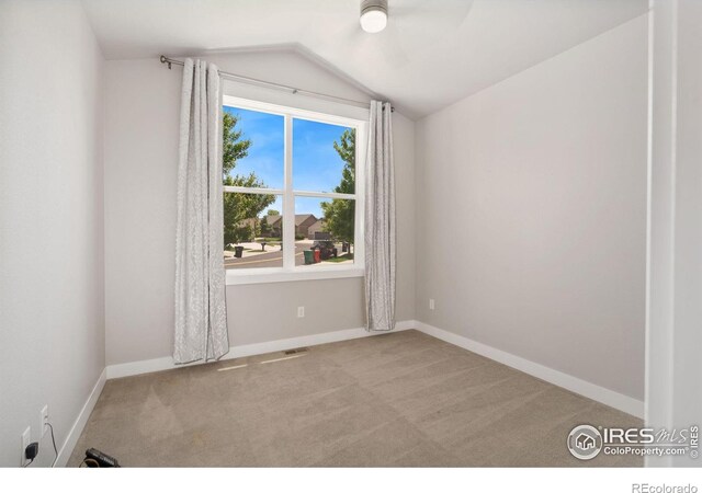 8213 Surrey St, Greeley, CO 80634 - photo 13