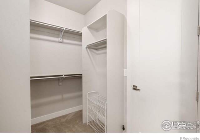 8213 Surrey St, Greeley, CO 80634 - photo 18
