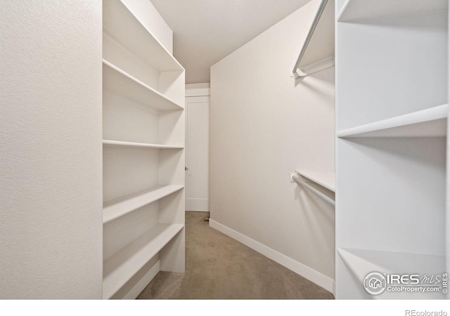 8213 Surrey St, Greeley, CO 80634 - photo 19
