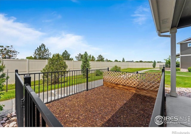 3635 Ronald Reagan Ave, Wellington, CO 80549 - view of yard