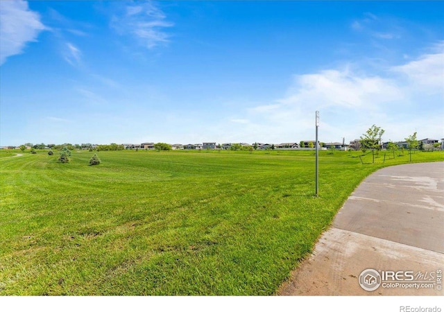 3635 Ronald Reagan Ave, Wellington, CO 80549 - view of grassy yard