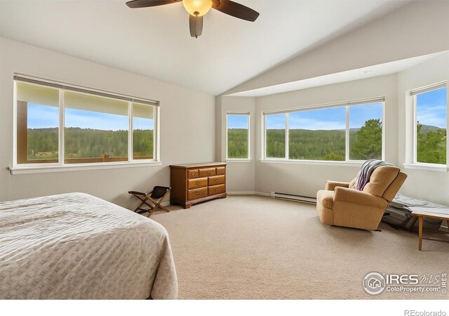 246 Nowata Dr, Red Feather Lakes, CO 80545 - photo 15