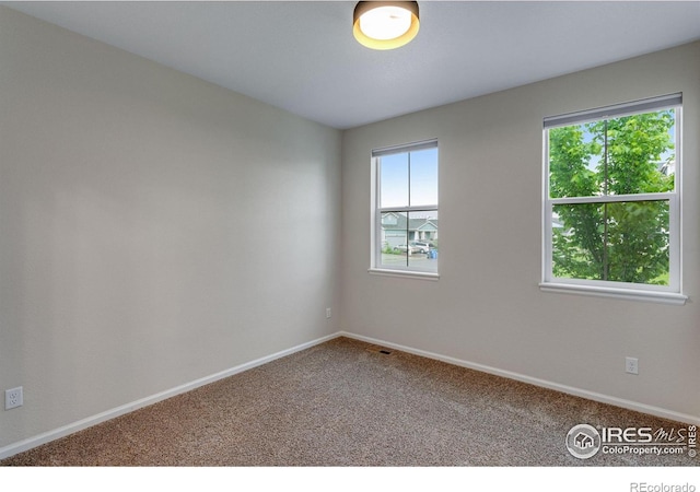 3997 Forest Lake Ct, Loveland, CO 80538 - empty room with carpet and baseboards