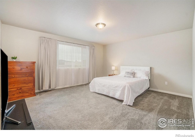 3960 Sweetgum St, Wellington, CO 80549 - carpeted bedroom with baseboards