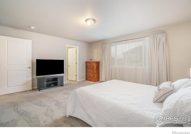 3960 Sweetgum St, Wellington, CO 80549 - bedroom with carpet flooring and baseboards