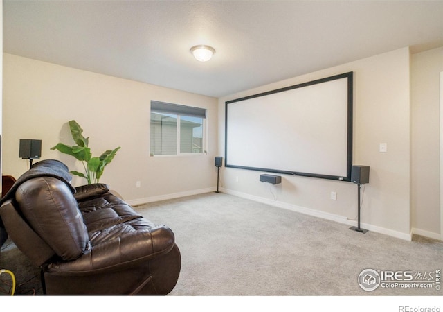 3960 Sweetgum St, Wellington, CO 80549 - cinema with carpet floors and baseboards
