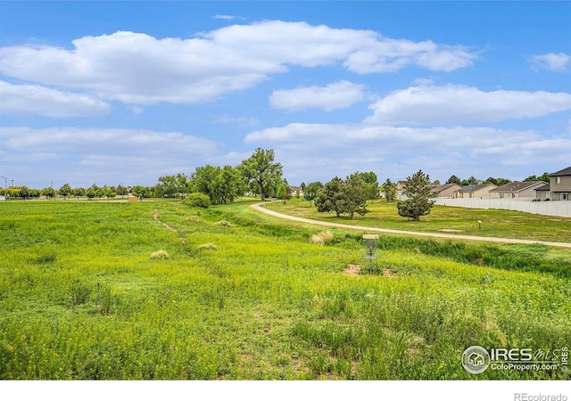 3960 Sweetgum St, Wellington, CO 80549 - view of yard