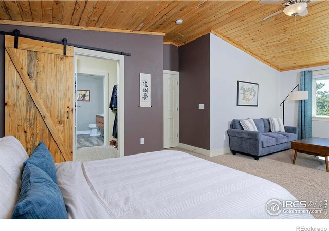 223 Copperdale Ln, Golden, CO 80403 - photo 11