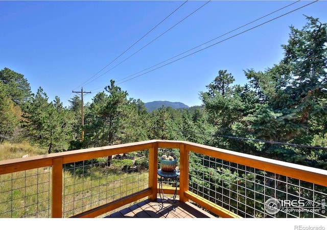 223 Copperdale Ln, Golden, CO 80403 - photo 21
