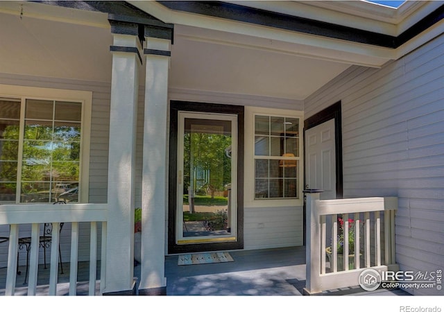 1673 Bain Dr, Erie, CO 80516 - photo 4