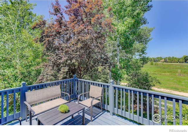 1673 Bain Dr, Erie, CO 80516 - photo 15