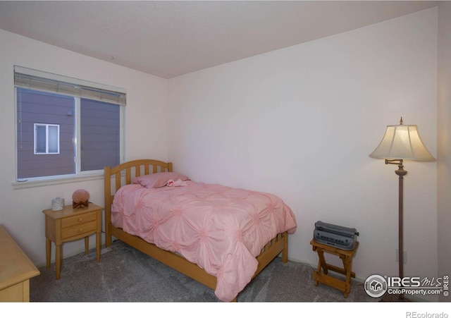 1673 Bain Dr, Erie, CO 80516 - photo 21