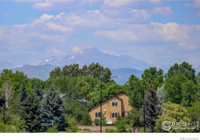 1673 Bain Dr, Erie, CO 80516 - photo 16