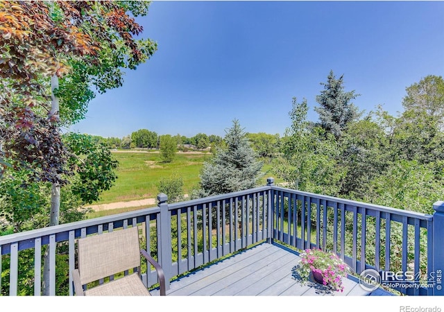 1673 Bain Dr, Erie, CO 80516 - photo 17