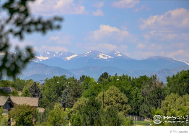 1673 Bain Dr, Erie, CO 80516 - photo 18