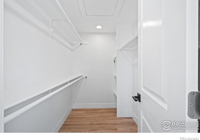 6766 Zenobia Loop, Westminster, CO 80030 - spacious closet with light wood finished floors