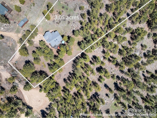 187 Rocky Knob Ln, Nederland, CO 80466 - aerial overview of property's location with property boundaries highlighted