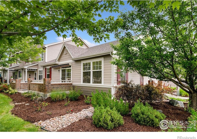 3180 Springfield Dr, Loveland, CO 80538 - view of front of house featuring a shingled roof and brick siding
