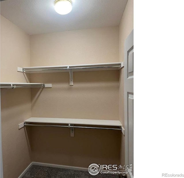 3180 Springfield Dr, Loveland, CO 80538