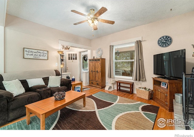 6009 W 28th St W, Greeley, CO 80634 - living area with wood finished floors, a ceiling fan, and a textured ceiling