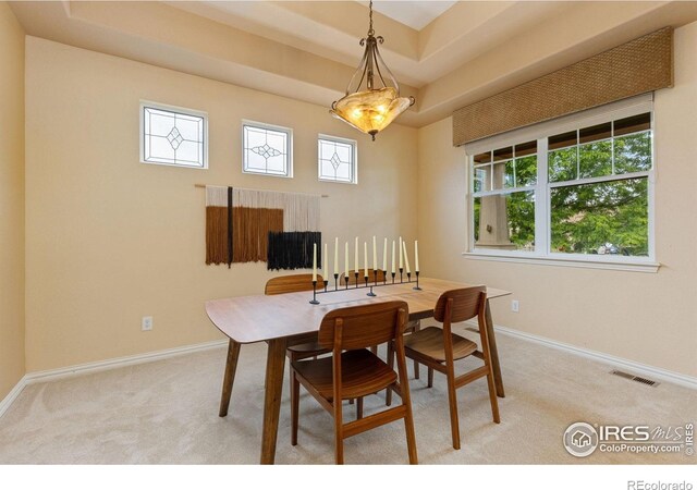 336 Olympia Ave, Longmont, CO 80504 - photo 11