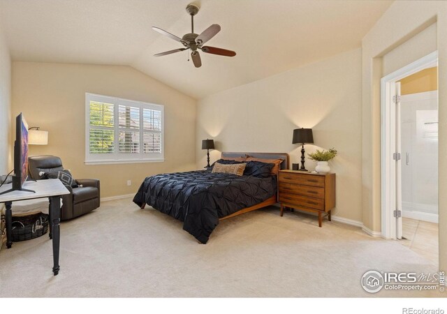 336 Olympia Ave, Longmont, CO 80504 - photo 25
