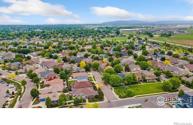 336 Olympia Ave, Longmont, CO 80504 - photo 40