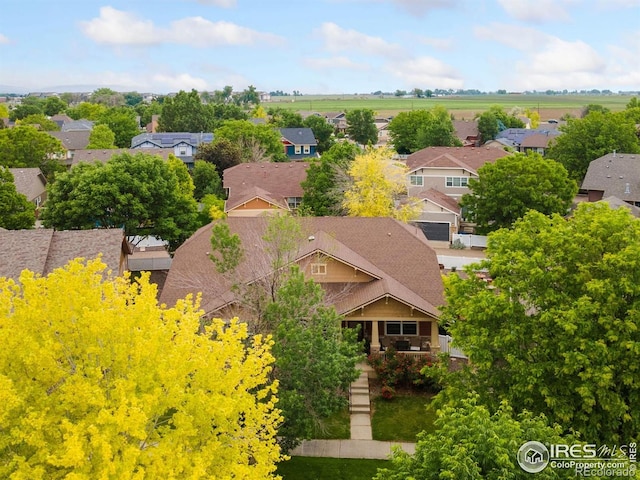 336 Olympia Ave, Longmont, CO 80504 - photo 3